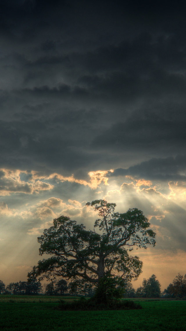 Before The Storm Best Background Full HD1920x1080p, 1280x720p, – HD Wallpapers Backgrounds Desktop, iphone & Android Free Download